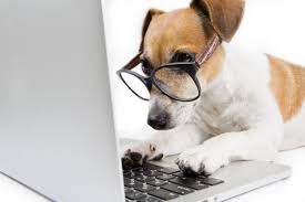 It is a great way to support the shelter and give back to the community. Homeward Bound Pets Hb Pets Twitter