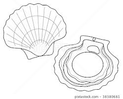 Download or print this amazing coloring page: Coloring Book Page Of A Scallop Coloring Pages Name Highway
