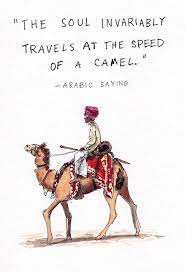 I love when i catch you looking at me. Quotes About Camel 130 Quotes