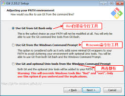 On the configuring extra options window, leave the default options checked. Download And Install Git Programmer Sought