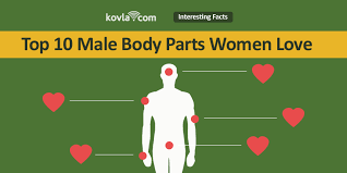 Despite the upper part is referred as a sign of alpha male, you will be surprised when you see what researchers at western illinois university found after conducted a study where they asked several women to rate the sexiest muscles on a man. Top 10 Male Body Parts Women Love Kovla Com Dating Blog