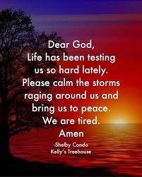 Little carly and little kelly get their own treehouse! Dear God Life Has Been Testing Us So Hard Lately Please Calm The Storms Raging Around Us And Bring Us To Peace We Are Tired Amen Shelby Condo Kelly S Treehouse America S
