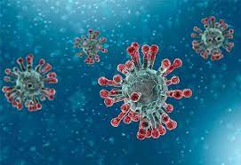 Nhs Highland Region Reports 84 Further Cases Of Covid 19 Coronavirus