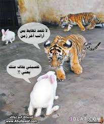 الجميع نزّلوا تطبيق الصور على جوالآتهم! Ø¹Ø§Ù„Ù… Ø§Ù„ØµÙˆØ± Ø§Ù„Ù…Ø¶Ø­ÙƒØ©