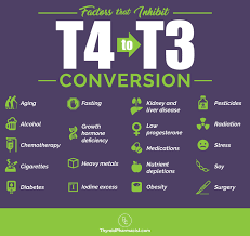 Which Thyroid Medication Is Best Dr Izabella Wentz