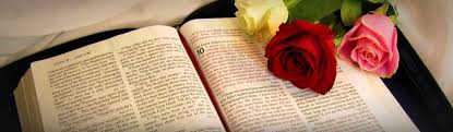 · 0 ratings · 0 reviews · 1 distinct work. Brief Biodata Of Our Departed Beloved Father Weefree Ministries