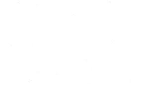 Black And White Background Plain White Background Plain Https Www Hdwallpaperspop Com White Background Plain