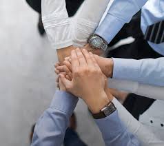 We did not find results for: Management Team Dutch Lady Milk Industries Berhad