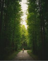 My Love For Trees Is As Infinite As The Universe Photo By Seeefry At Walnut Woods Metro Park In Groveport Ohio Ohio Photo State Parks The Buckeye State