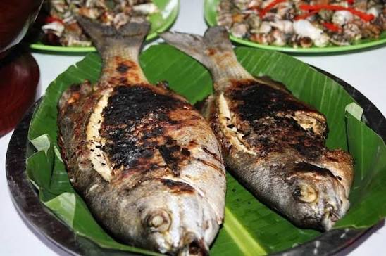 Cá măng: Khám phá đặc điểm, dinh dưỡng và các món ăn hấp dẫn