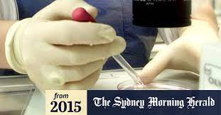 How much to sell your eggs australia. Egg Donor Money Fertility Clinic Offers Women 5000