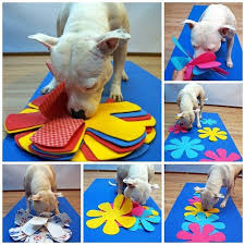 Spel Van De Maand Diy Dog Stuff Dog Enrichment Dog Activities