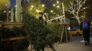 Maybe you would like to learn more about one of these? How To Recycle Your Christmas Tree In Salt Lake City Kutv