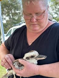Reminder about ANARRA's bird workshop in Gympie