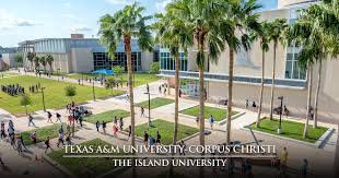 texas a m university corpus christi