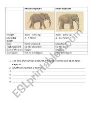 african and asian elephants esl