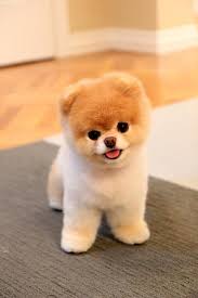 Pin On So Cute 3 3