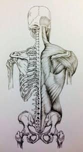 Human Body Art Ideas To Draw 60 Super Ideas In 2020 Human Anatomy Art Human Anatomy Drawing Medical Drawings