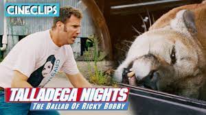 The ballad of ricky bobby stars will ferrell as the best nascar driver in the world. Getting Attacked By A Cougar Talladega Nights Cineclips Youtube
