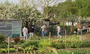 25+ großartig bild britzer garten veranstaltungen. Unser Garten Eden Frame Film Gmbh