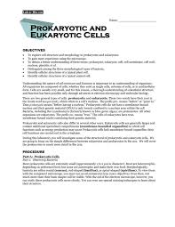 Evolution of chloroplasts and mitochondria •protein synthesis in mitochondria and chloroplast are similar to bacteria •the inner membrane of both mitochondria and Prokaryotic And Eukaryotic Cells Objectives