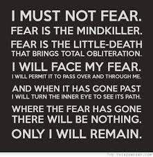 I Will Not Fear Fear Is The Mind Killer Pin On Amazing Sky Diving