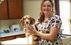The animal hospital's services include wellness and routine examinations. Park Lane Veterinary Hospital Norman Ok Veterinarians Norman Vet Care
