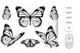 Free Free 247 Butterfly Svg Free File SVG PNG EPS DXF File