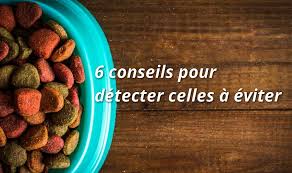 Sa texture et sa dureté oblige votre chien à mastiquer et limite l'apparition de tartre. Croquettes Chien 6 Conseils Pour Detecter Celles A Eviter
