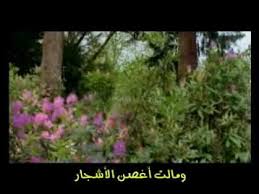 سلاما ايها الماء Youtube