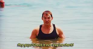 Enjoy reading and share 2 famous quotes about stifler with everyone. Best Stifler Gifs Gfycat