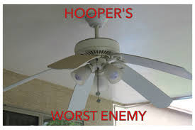 Even Superhoopers Don T Get Along With Ceiling Fans Ceiling Fan Repair Ceilings Hampton Bay Ceiling Fan