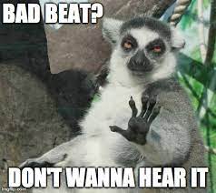 Stoner Lemur Meme Imgflip