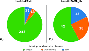 Prevalence Of Positively Selected Site Classes Pie Charts