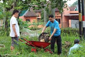 Banyak dari anggota masyarakat bahkan akan berusaha menghindarinya ketika undangan dari rt atau rw meminta mereka untuk ikut serta dalam kegiatan ini. Manfaat Kerja Bakti Bagi Lingkungan Dan Kehidupan Lingkungan Hidup