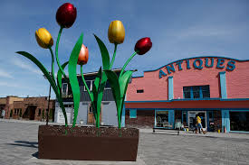 Harts flowers mount vernon wa. Known For Its Tulips Mount Vernon Offerings Worth A Day Trip Heraldnet Com