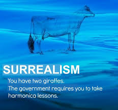 Two Cows Explain Economics Better Than Any Class You Have Two Cows Cow Cattle Dog