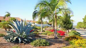 His name is now associated with the style we now know as midcentury modern. A Beginner S Guide To Drought Tolerant Landscaping In California