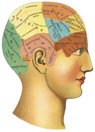 Bonehead Medicine in Texas