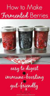 Healthy Recipe How To Make Fermented Berries Fermented Veggies Fermentation Recipes Probiotic Foods