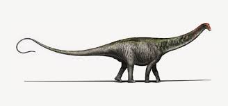 Apatosaurus was a huge harmless dinosaur, a sauropod. A Prehistoric Giant Is Revived If Only In Name The New York Times