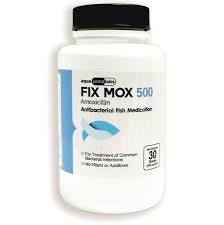 Image result for Amoxicillin