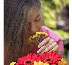 Kasekuchen Ohne Boden Cremig Zitronig Und Lecker Gut Meinestube