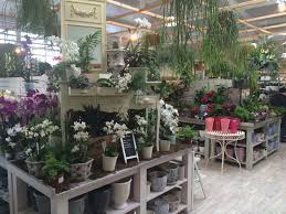 House Plant Display At Redfields Garden Centre Part Of The Blue Diamond Group November 2016 Garden Center Garden Center Displays House Plants