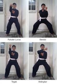 Pencak silat merupakan beladiri yang menggunakan akal secara penuh. Teknik Dasar Pencak Silat Yang Bisa Dilakukan Sendiri Ala Wewey Wita Pukulan Aura Co Id