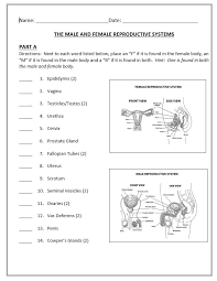 Think you know a lot about halloween? Human Growth And Development Male And Female Reproductive Systems Quiz Female Reproductive System Anatomy Reproductive System Female Reproductive System