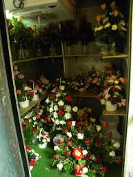 Check spelling or type a new query. Gallery Flowers By Nancy