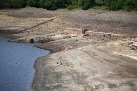 Milena mariani onlifans based on the previous assessment I