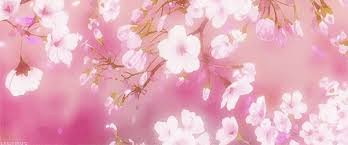 Share a gif and browse these related gif searches. Animated Cherry Blossom Tree Posted By Ryan Simpson