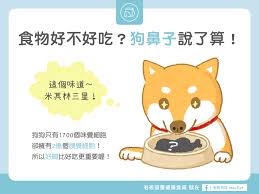 汪喵餵養知識 食物好不好吃 狗鼻子說了算 teddy teddy bear animals